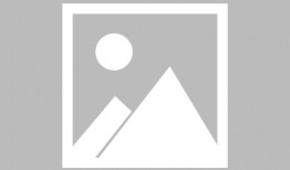 山鸡鱼最新爆料